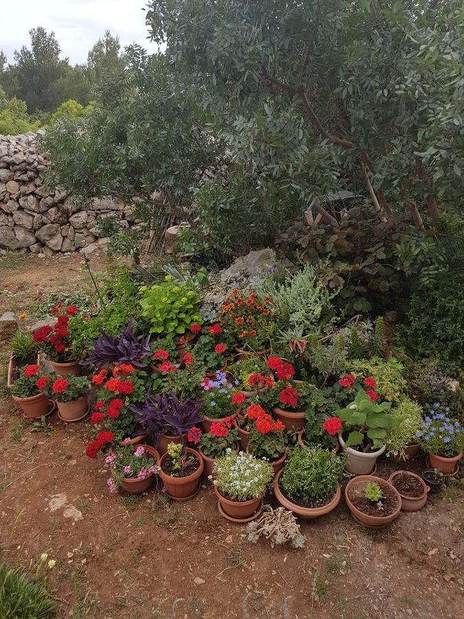 Apartament Luma 1 Hvar Town